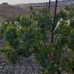 Alle Rose * Volterra