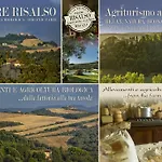 Alle Rose Volterra