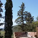 Alle Rose Volterra