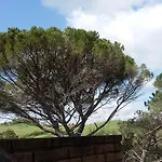 Alle Rose Vakantieboerderij *