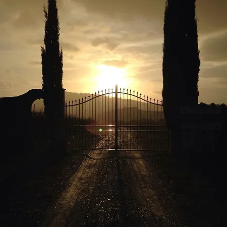 Alle Rose Volterra