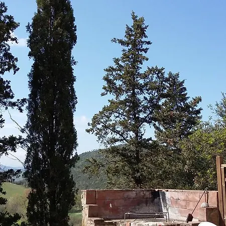 Alle Rose Volterra