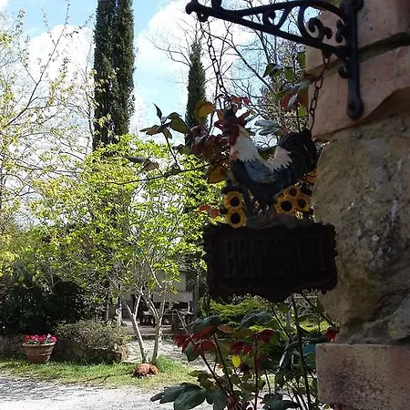 Agroturismo Alle Rose *